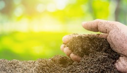 Optimising soil pH with lime to reduce emissions